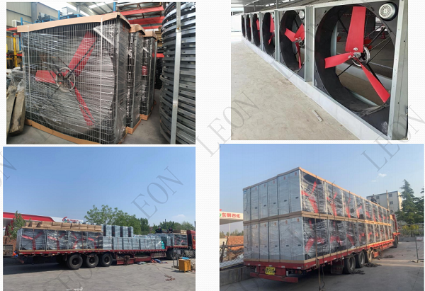 product-600-411