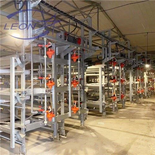 Hot Selling H-Type Broiler Cage
