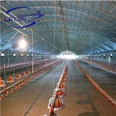 Hot Sale Broiler Cage Chicken