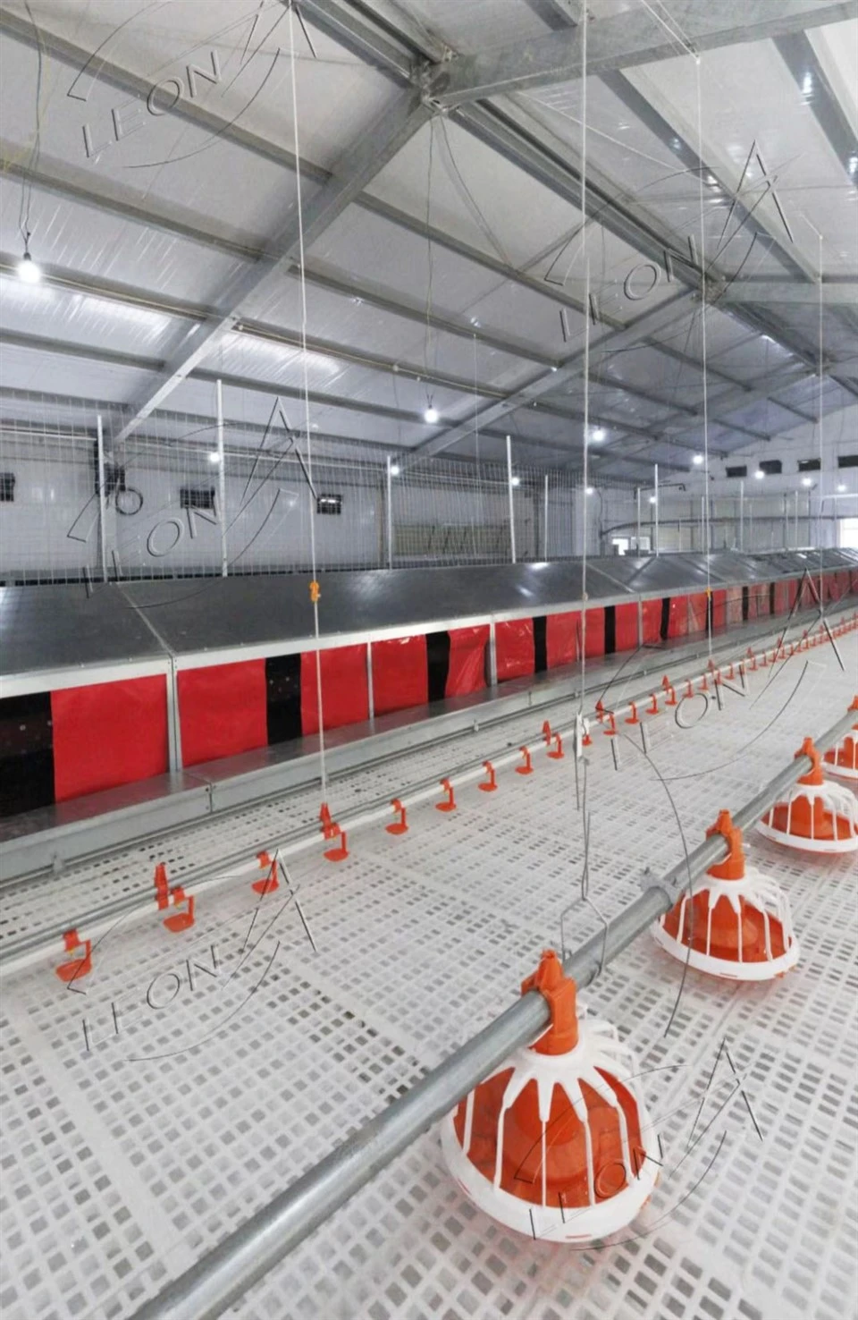 Low Price And High Quality Automatic Egg Laying Box