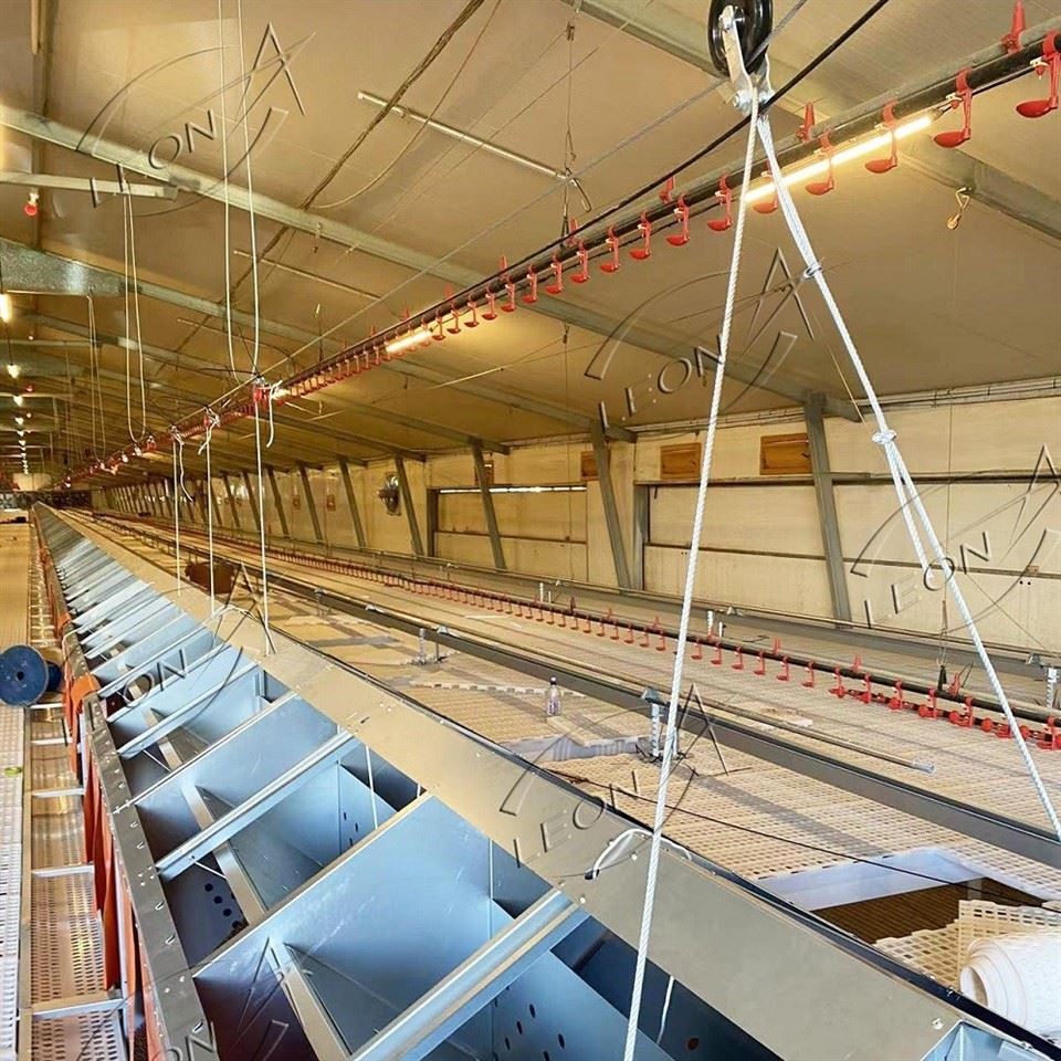 Low Price And High Quality Automatic Egg Laying Box