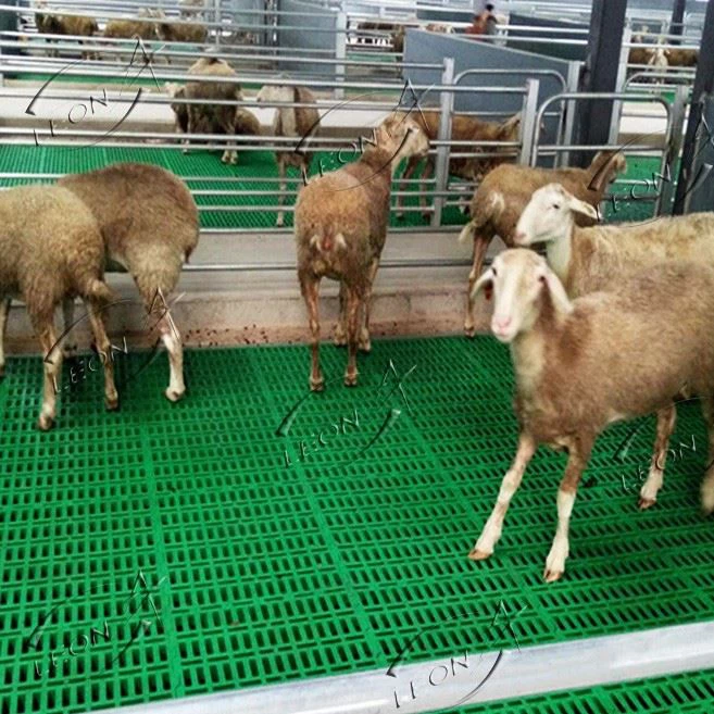 Plastic Slatted Floor For Goat Sheep Farming